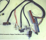 24x Main Stand Alone Engine Wiring Harness,,Schwanke Engines- Schwanke Engines LLC